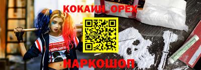 гашик Ливны