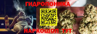 гидра Лесосибирск