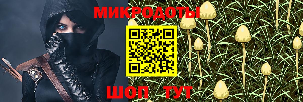 Тюмень  Галлюциногенные грибы прущие грибы  Вход с VPN 